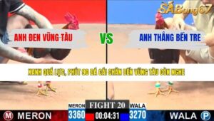 TRẬN 20 CPC3 29/3/2026