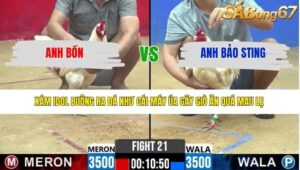 TRẬN 21 CPC2 24/3/2026