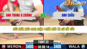 TRẬN 22 CPC2 11/3/2026