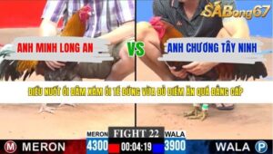 TRẬN 22 CPC3 29/3/2026