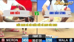 TRẬN 23 CPC2 31/3/2026