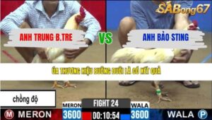 TRẬN 24 CPC2 14/3/2026