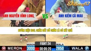 TRẬN 24 CPC2 31/3/2026