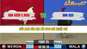 TRẬN 25 CPC2 14/3/2026