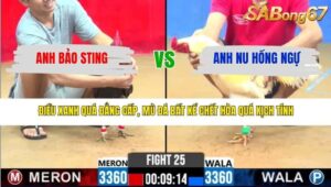 TRẬN 25 CPC2 18/3/2026