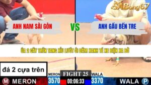 TRẬN 25 CPC3 24/3/2026