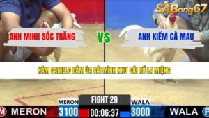 TRẬN 29 CPC2 27/3/2026