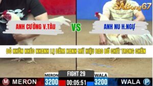 TRẬN 29 CPC2 9/3/2026