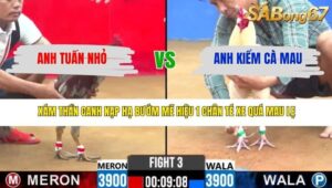 TRẬN 3 CPC2 17/3/2026