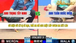 TRẬN 3 CPC3 29/3/2026