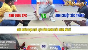 TRẬN 3 XÀ XÍA 26/3/2026