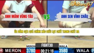 TRẬN 30 CPC2 27/3/2026