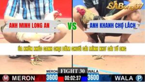 TRẬN 30 CPC3 31/3/2026