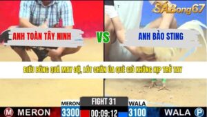 TRẬN 31 CPC2 31/3/2026