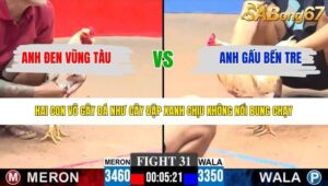 TRẬN 31 CPC3 26/3/2026