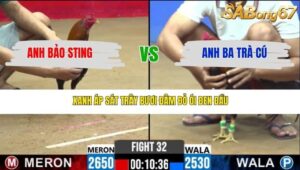 TRẬN 32 CPC2 13/3/2026