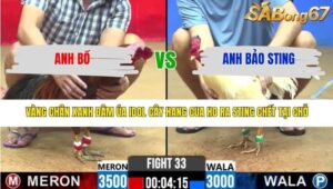 TRẬN 33 CPC2 17/3/2026