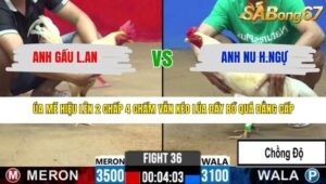 TRẬN 36 CPC2 11/3/2026