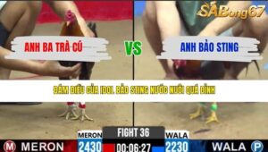 TRẬN 36 CPC2 13/3/2026