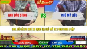 TRẬN 36 CPC2 27/3/2026