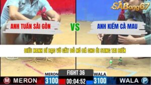 TRẬN 36 CPC2 29/3/2026