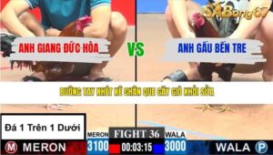 TRẬN 36 CPC3 19/3/2026