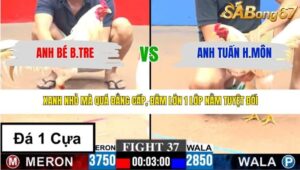 TRẬN 37 CPC3 14/3/2026