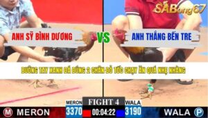 TRẬN 4 CPC3 31/3/2026