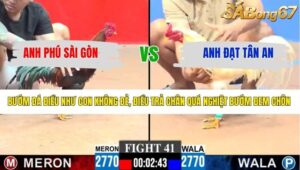 TRẬN 41 CPC3 28/3/2026