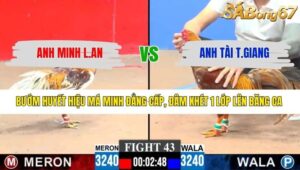 TRẬN 43 CPC3 10/3/2026