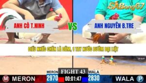 TRẬN 43 CPC3 12/3/2026