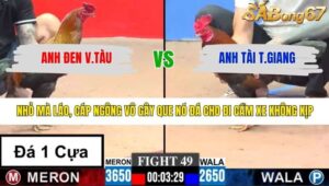 TRẬN 49 CPC3 10/3/2026