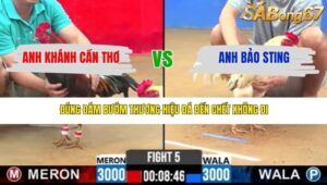 TRẬN 5 CPC2 18/3/2026