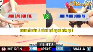 TRẬN 5 CPC3 19/3/2026