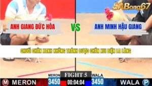 TRẬN 5 CPC3 22/3/2026