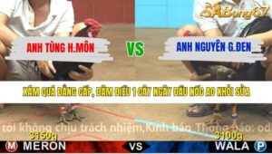 TRẬN 5 CPC4 9/3/2026