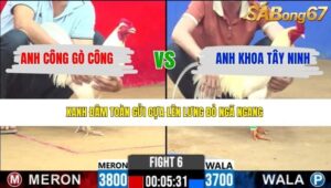 TRẬN 6 CPC2 29/3/2026