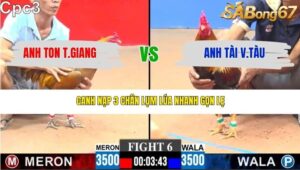 TRẬN 6 CPC3 12/3/2026