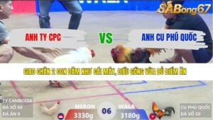 TRẬN 6 XÀ XÍA 29/3/2026