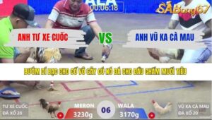 TRẬN 6 XÀ XÍA 30/3/2026