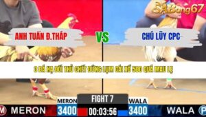 TRẬN 7 CPC2 13/3/2026