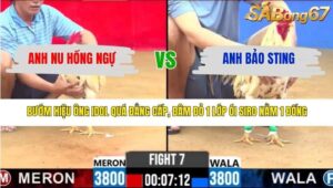 TRẬN 7 CPC2 17/3/2026