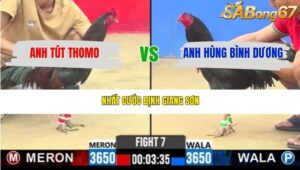 TRẬN 7 CPC2 20/3/2026