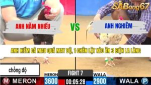 TRẬN 7 CPC2 9/3/2026