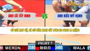 TRẬN 7 CPC3 19/3/2026