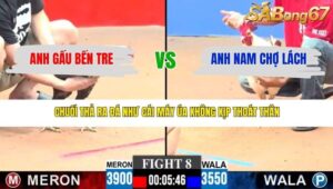 TRẬN 8 CPC3 19/3/2026