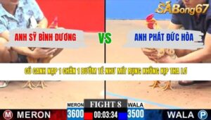 TRẬN 8 CPC3 21/3/2026