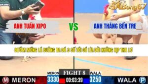 TRẬN 8 CPC3 31/3/2026