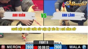 TRẬN 9 CPC2 25/3/2026