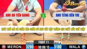 TRẬN 12 CPC2 8/4/2026